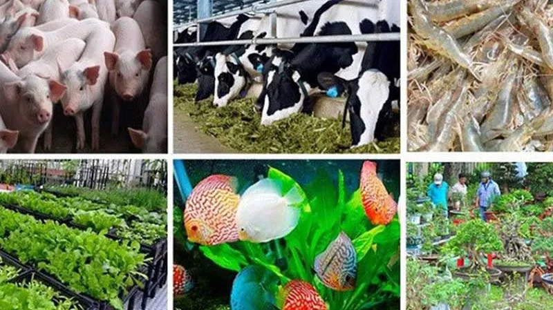 Diễn đàn TPHCM - Thích ứng và phát triển: phát triển bền vững nền nông nghiệp