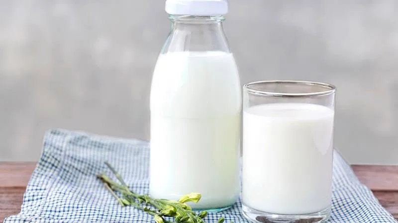 Ăn Tết có cần uống sữa?