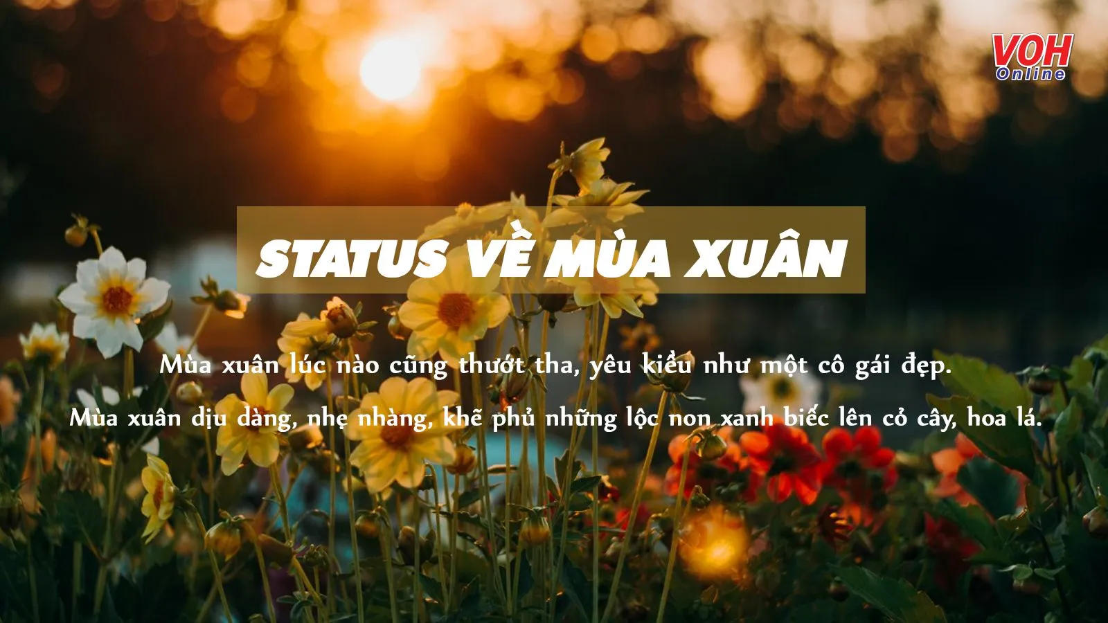 100+ câu nói hay về mùa xuân, status về mùa xuân thả thính đỉnh chóp