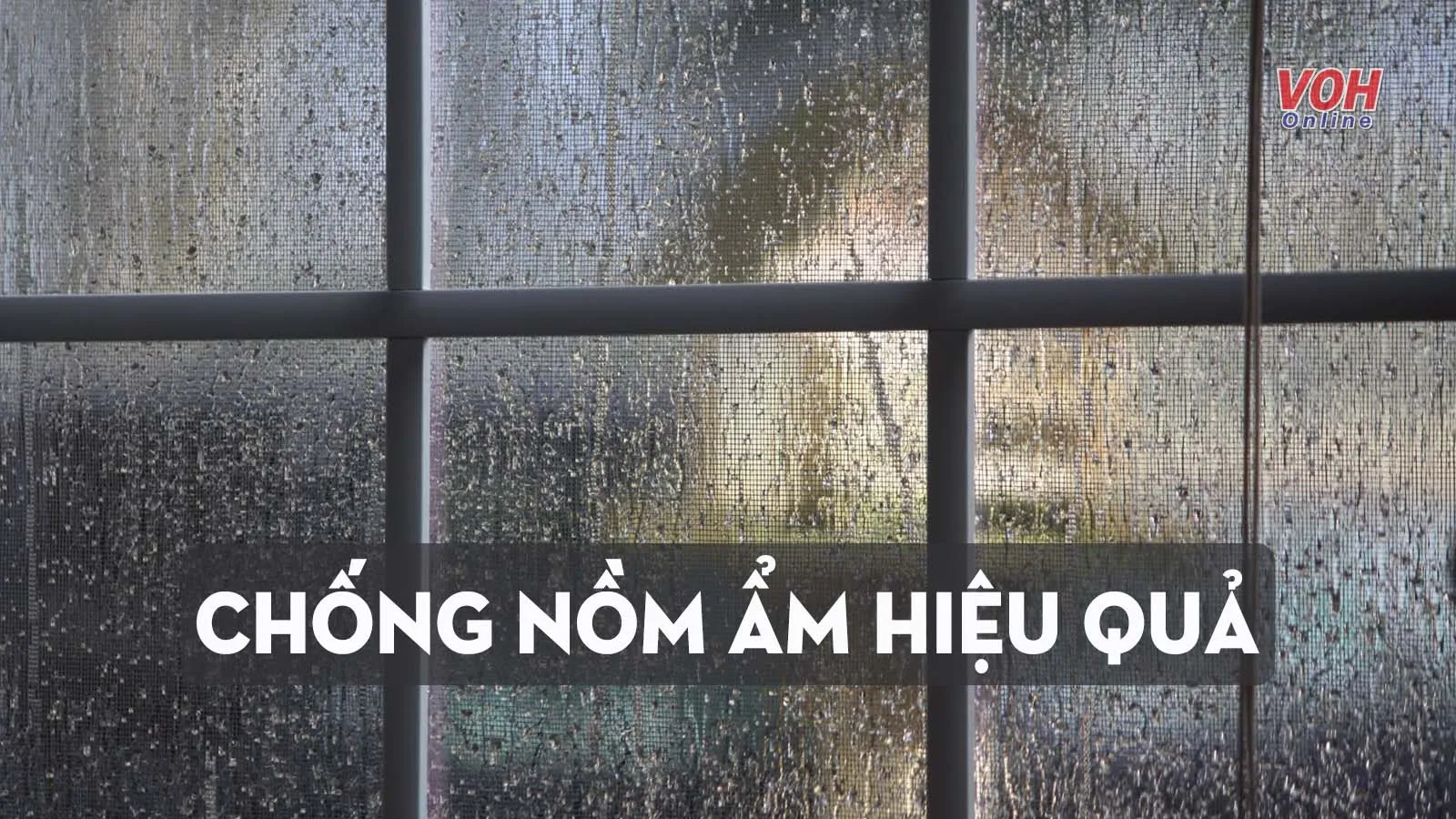 7 cách chống nồm ẩm nhanh chóng và hiệu quả