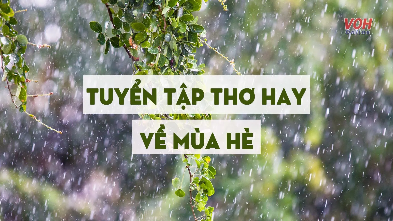 Tuyển tập thơ về mùa hè khiến ta bồi hồi với những ký ức xưa