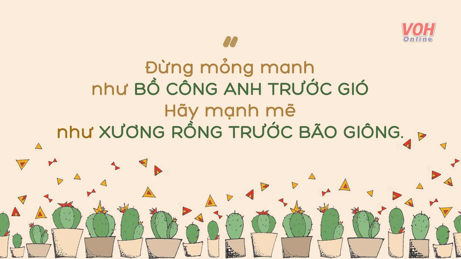 47 stt về cây xương rồng có khả năng truyền cảm hứng mạnh mẽ