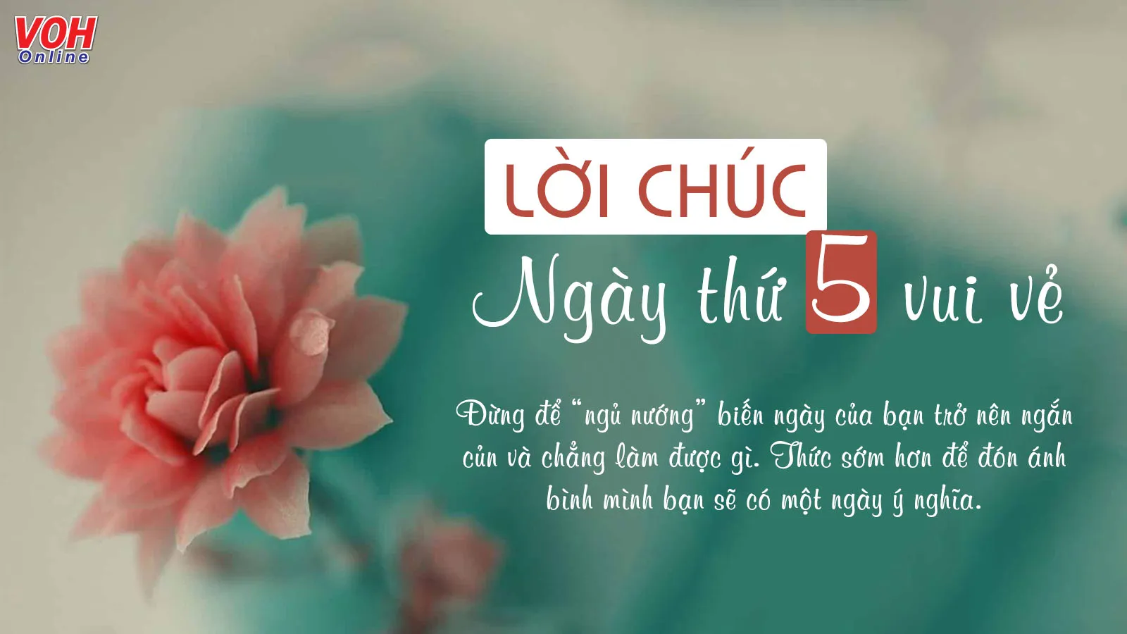 Chào ngày mới với 50 lời chúc thứ 5 vui vẻ ngập tràn năng lượng