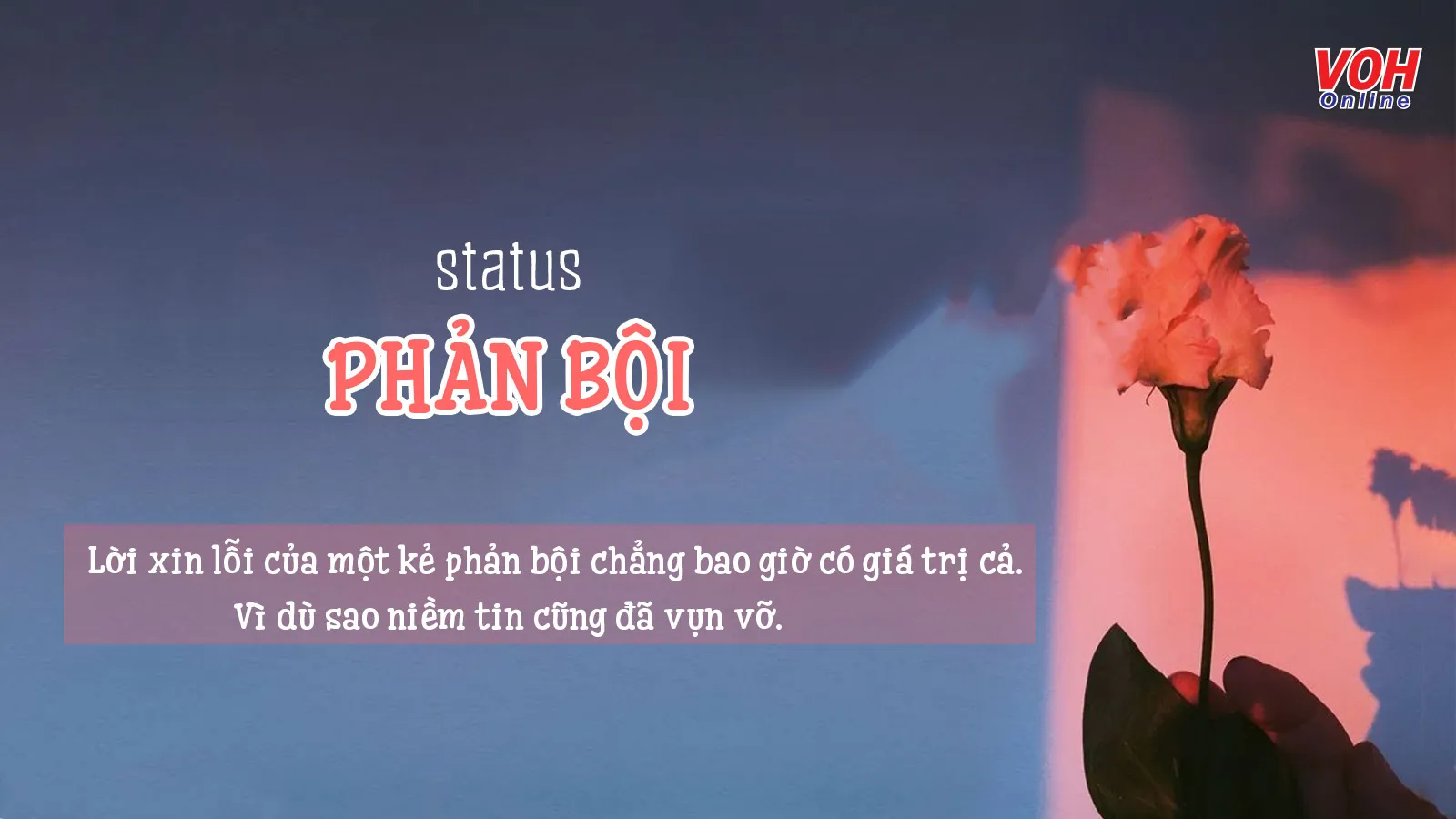 50 stt phản bội - trút bỏ cảm giác bẽ bàng khi người lừa dối