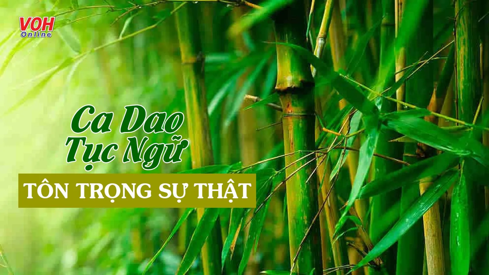 58 câu ca dao tục ngữ thành ngữ về tôn trọng sự thật