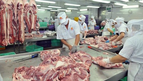 Giá heo hơi hôm nay 31/3/2022: Thay đổi nhẹ