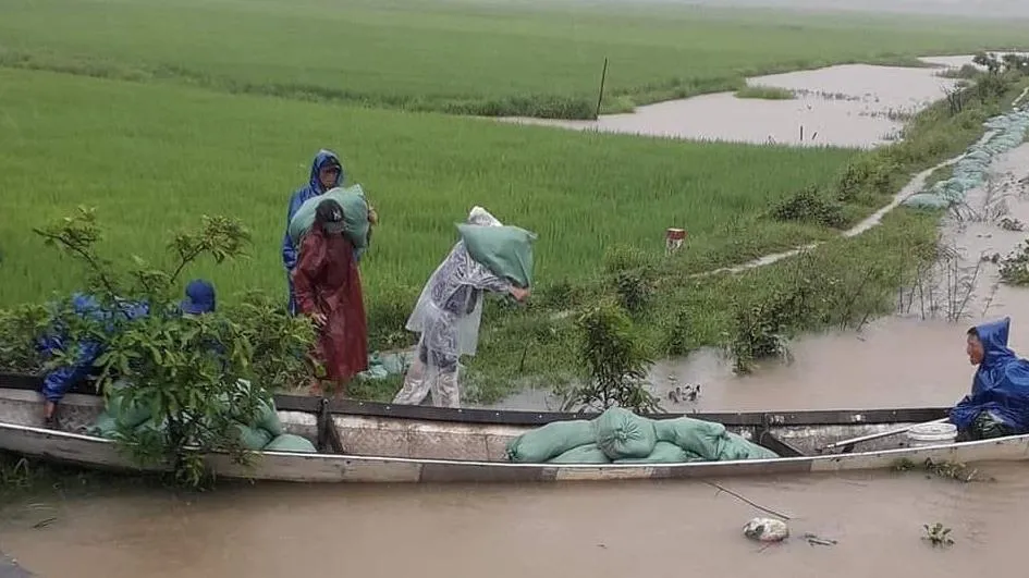 Tin nóng trưa 3/4: Hơn 15.000 ha lúa có nguy cơ mất trắng do mưa lũ