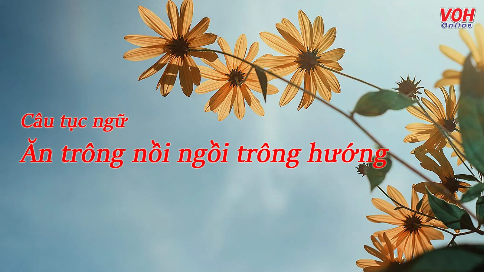 Giải thích ý nghĩa tục ngữ ‘Ăn trông nồi ngồi trông hướng’ nhắc nhở điều gì?