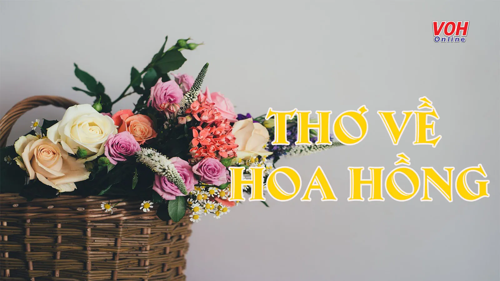 Chùm thơ về hoa hồng hay nhất chạm đến trái tim người đọc