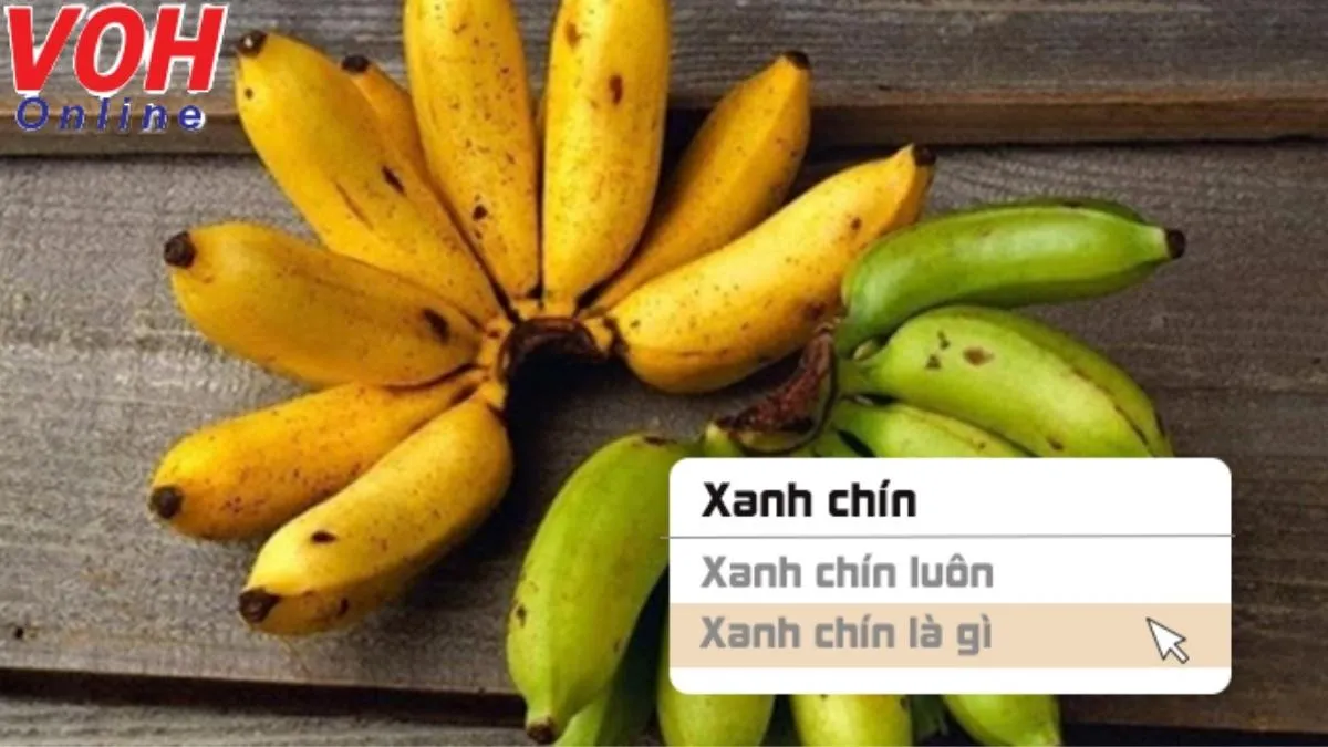 ‘Xanh chín’ là gì mà được giới trẻ sử dụng nhiều đến vậy?