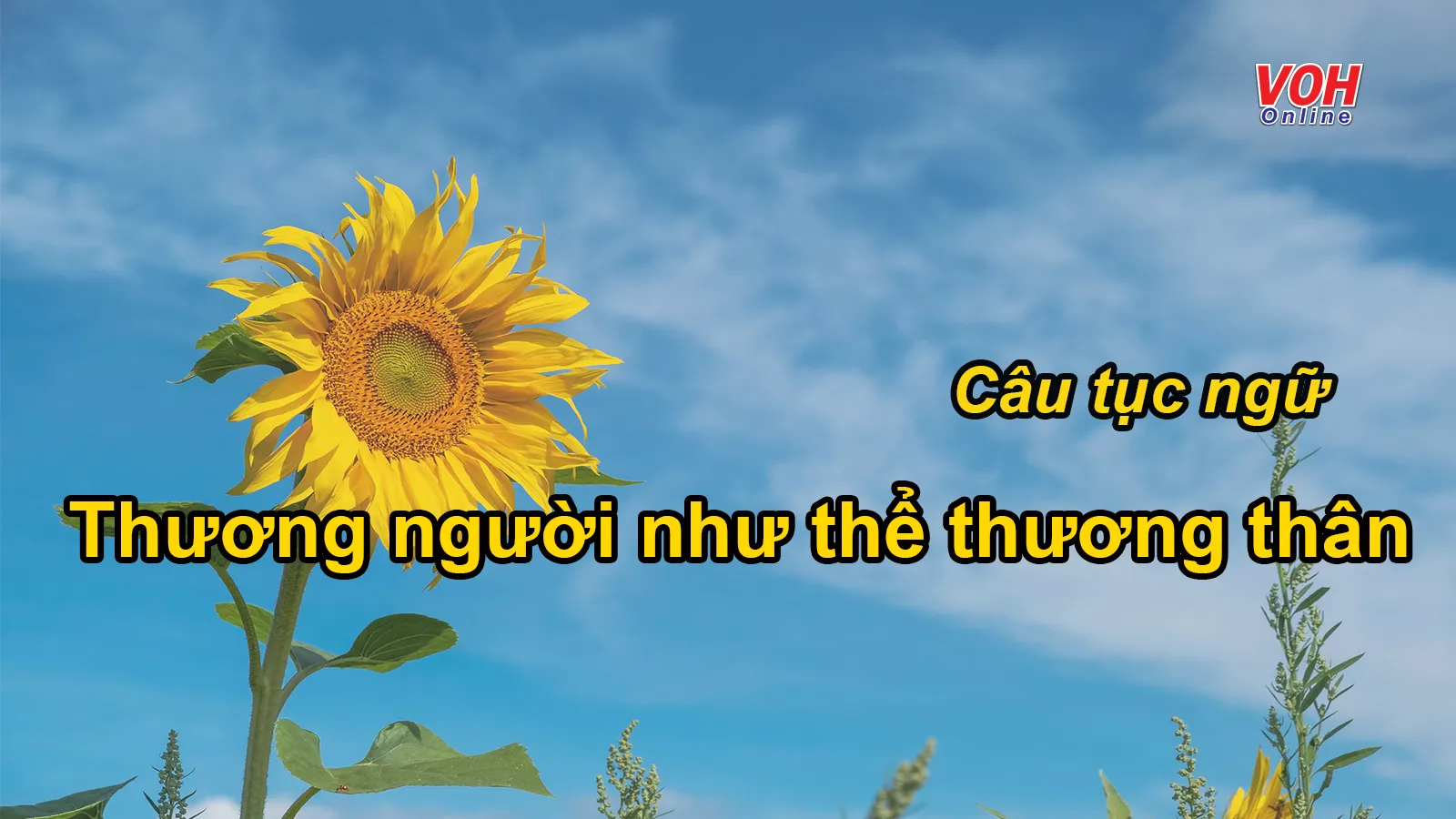 Câu Tục Ngữ Thương Người Như Thể Thương Thân - Ý Nghĩa Và Bài Học Cuộc Sống