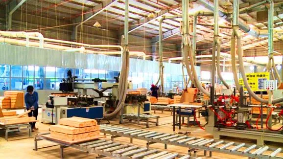 Cần phát triển vùng nguyên liệu gỗ trong nước