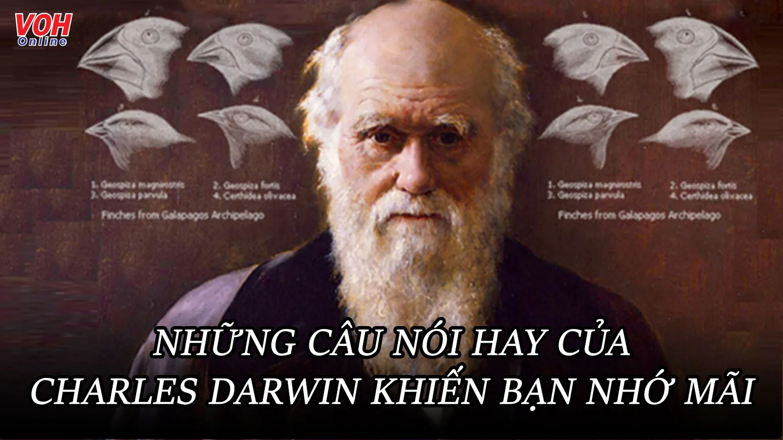 Charles Darwin là ai? 10 câu nói hay của nhà khoa học Charles Darwin