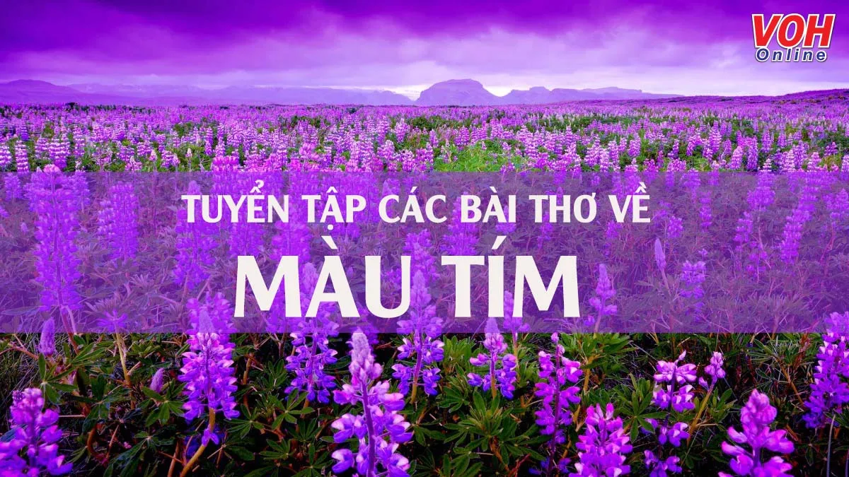 Chùm thơ về màu tím yêu thương, màu tím thuỷ chung