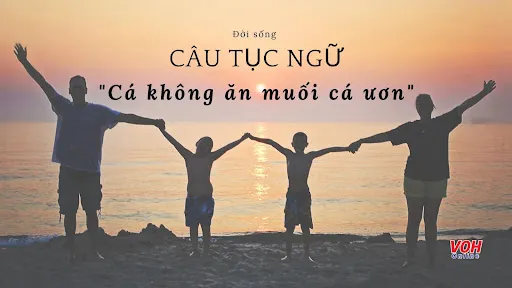 Ý nghĩa câu tục ngữ Cá không ăn muối cá ươn/Con cãi cha mẹ trăm đường con hư