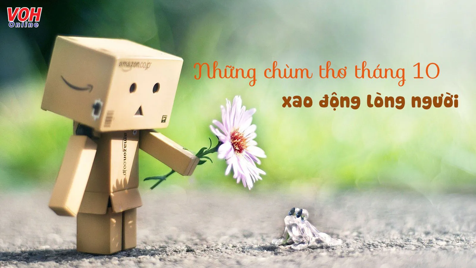 31 bài thơ tháng 10 hay, chùm thơ chào tháng Mười ý nghĩa nhất