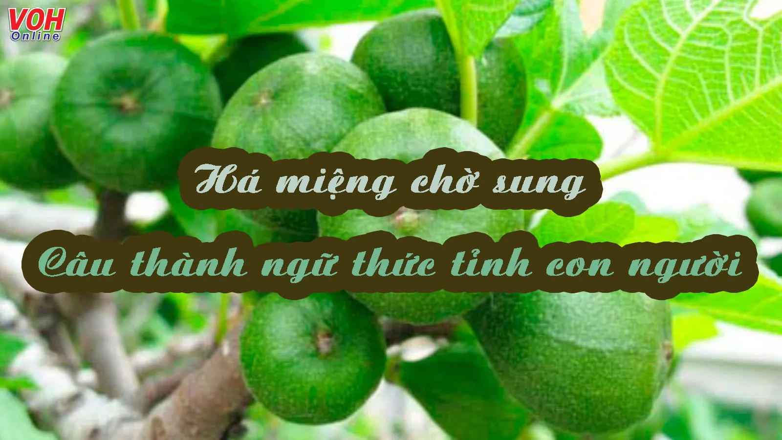 Giải thích ý nghĩa thành ngữ ‘Há miệng chờ sung’ phê phán đức tính nào?