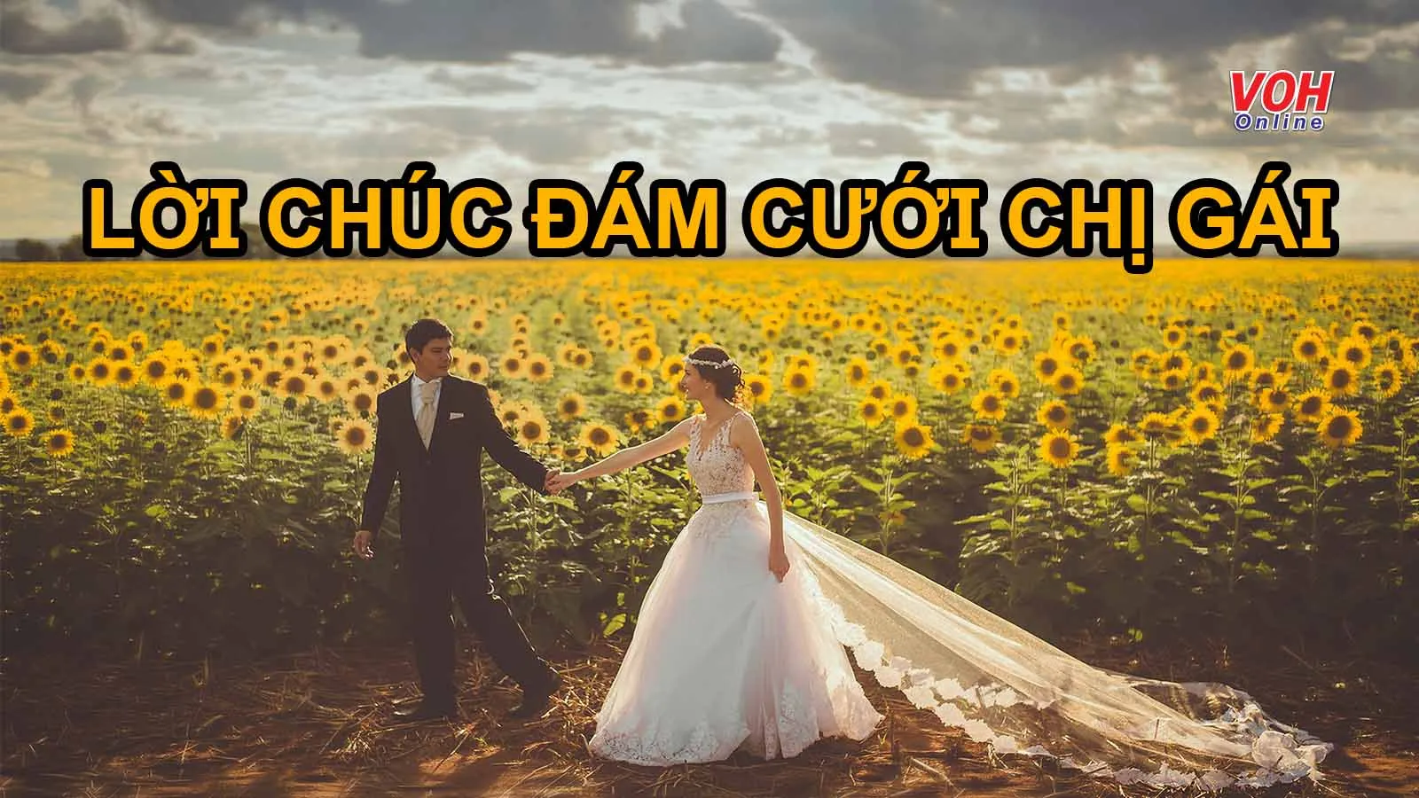 50 lời chúc mừng đám cưới chị gái ý nghĩa và hài hước bá đạo nhất