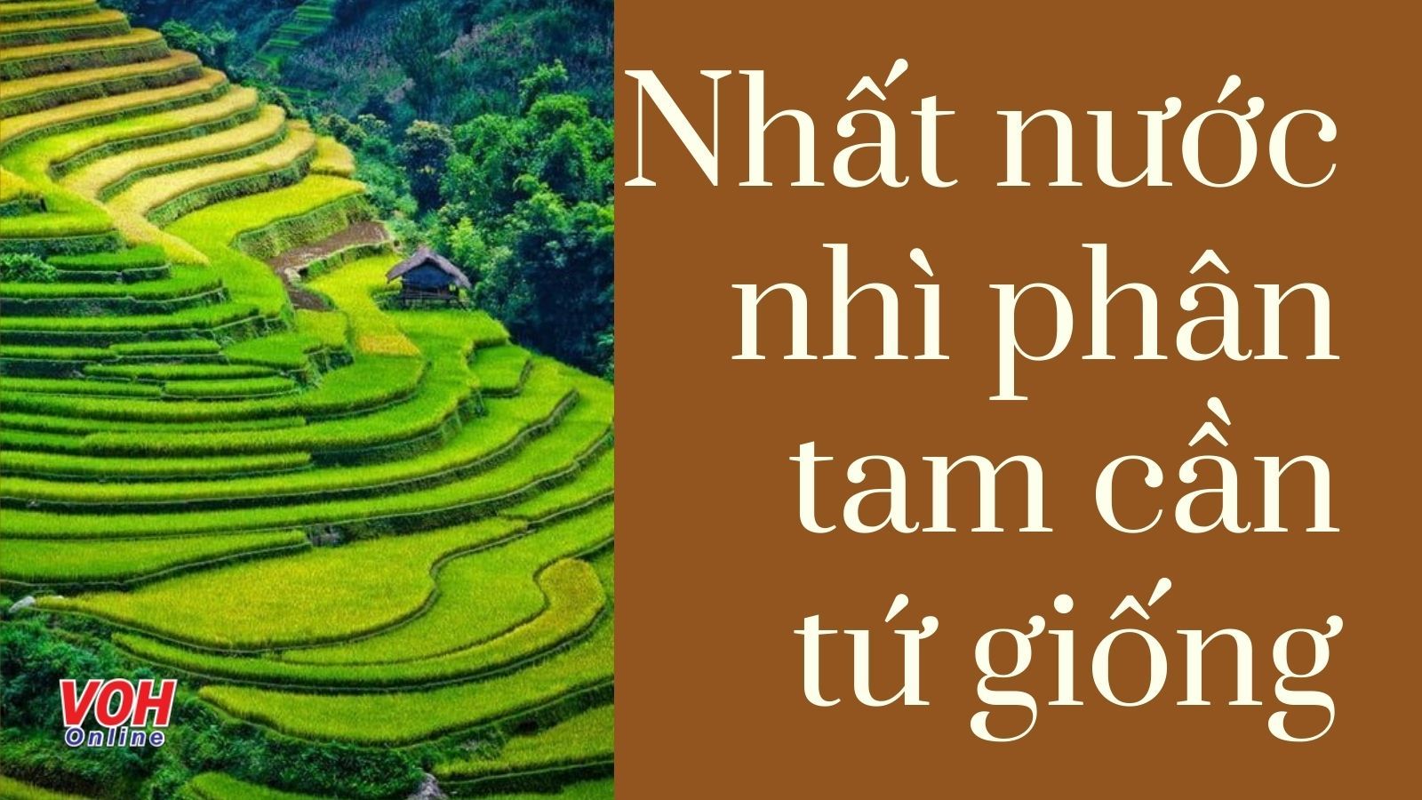 Giải thích ý nghĩa câu tục ngữ Nhất nước, nhì phân, tam cần, tứ giống