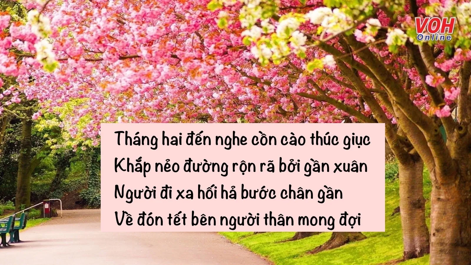 18 bài thơ tháng 2 hay, chùm thơ về tháng Hai ý nghĩa