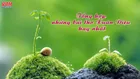 Những bài thơ Xuân Diệu về tình yêu hay và đặc sắc nhất