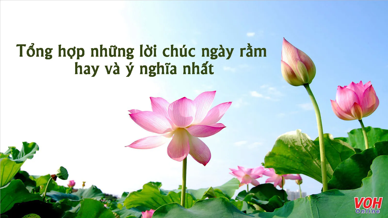 Tổng hợp những lời chúc ngày rằm hay và ý nghĩa nhất