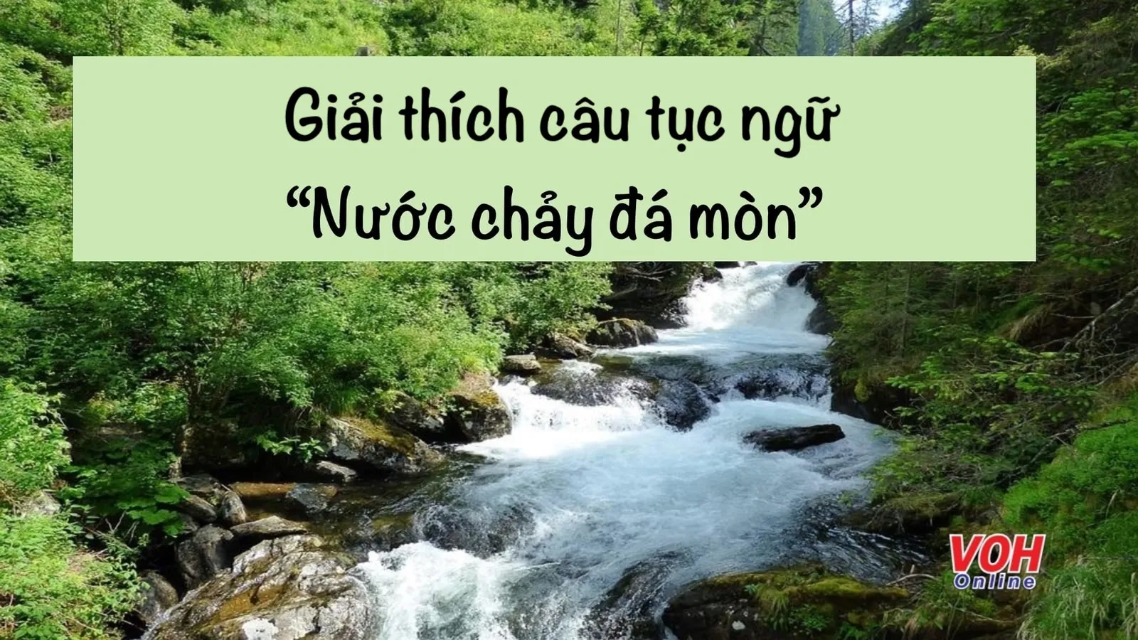 Tìm hiểu ý nghĩa câu tục ngữ ‘Nước chảy đá mòn’