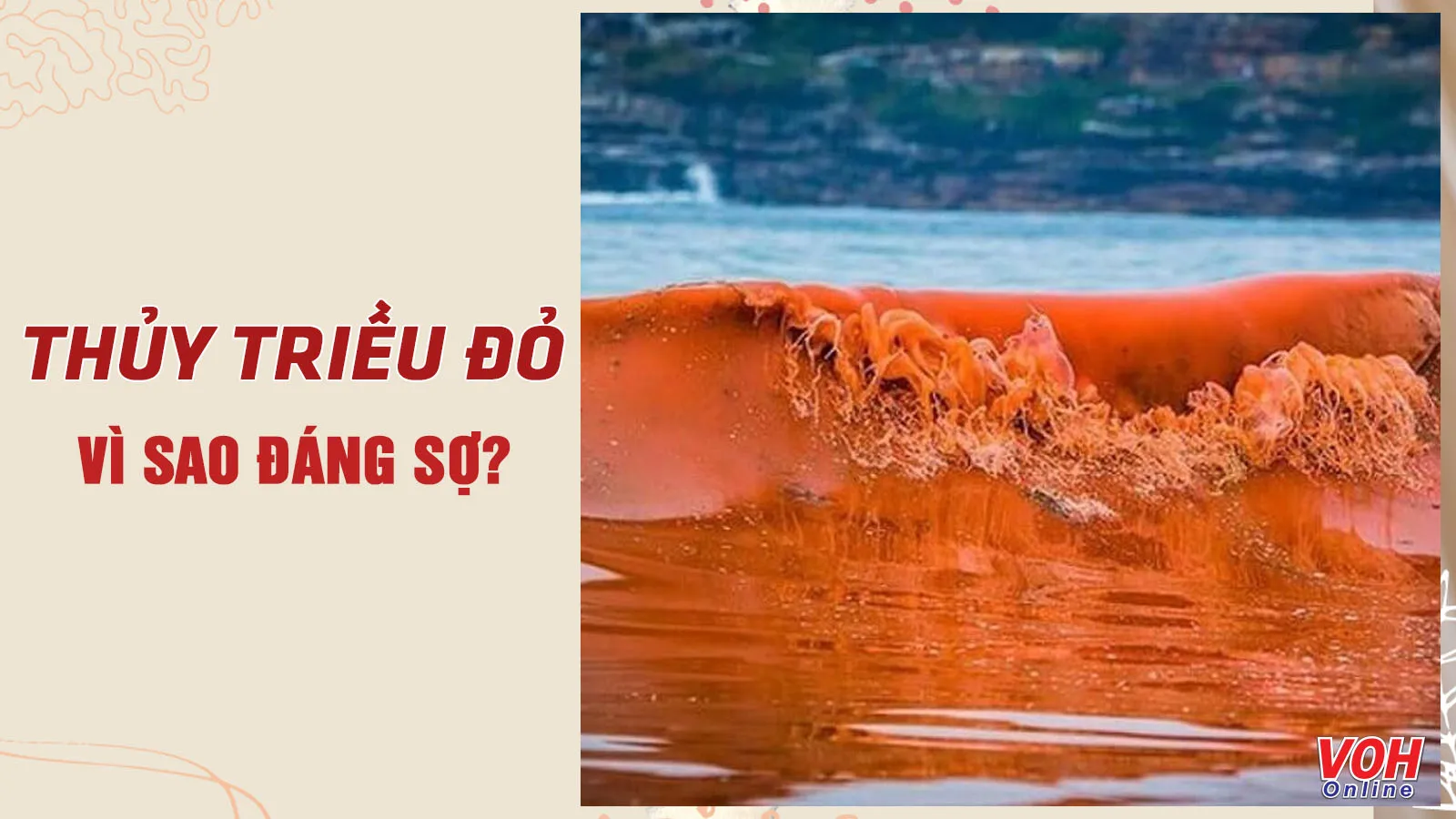 Thủy triều đỏ là gì? Vì sao lại trở thành nỗi khiếp sợ của ngư dân?