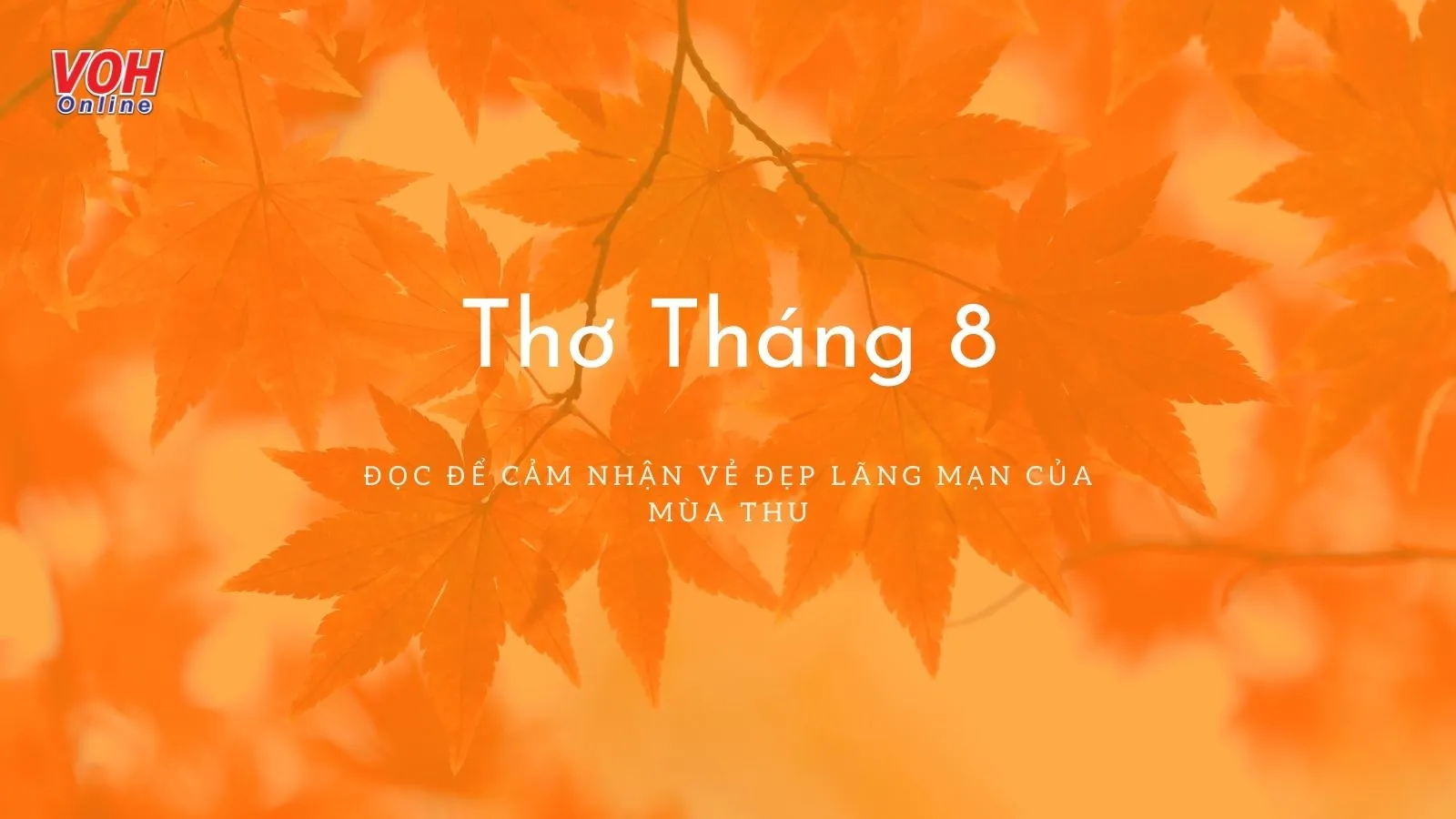 33 bài thơ tháng 8 hay, thơ buồn tháng Tám mùa thu