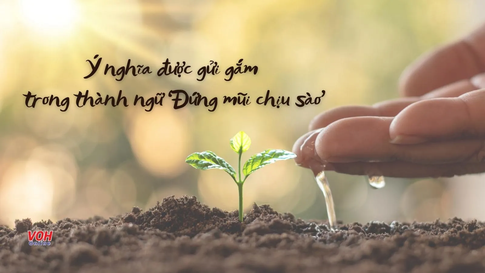 Giải thích ý nghĩa thành ngữ ‘Đứng mũi chịu sào’ nói về điều gì?