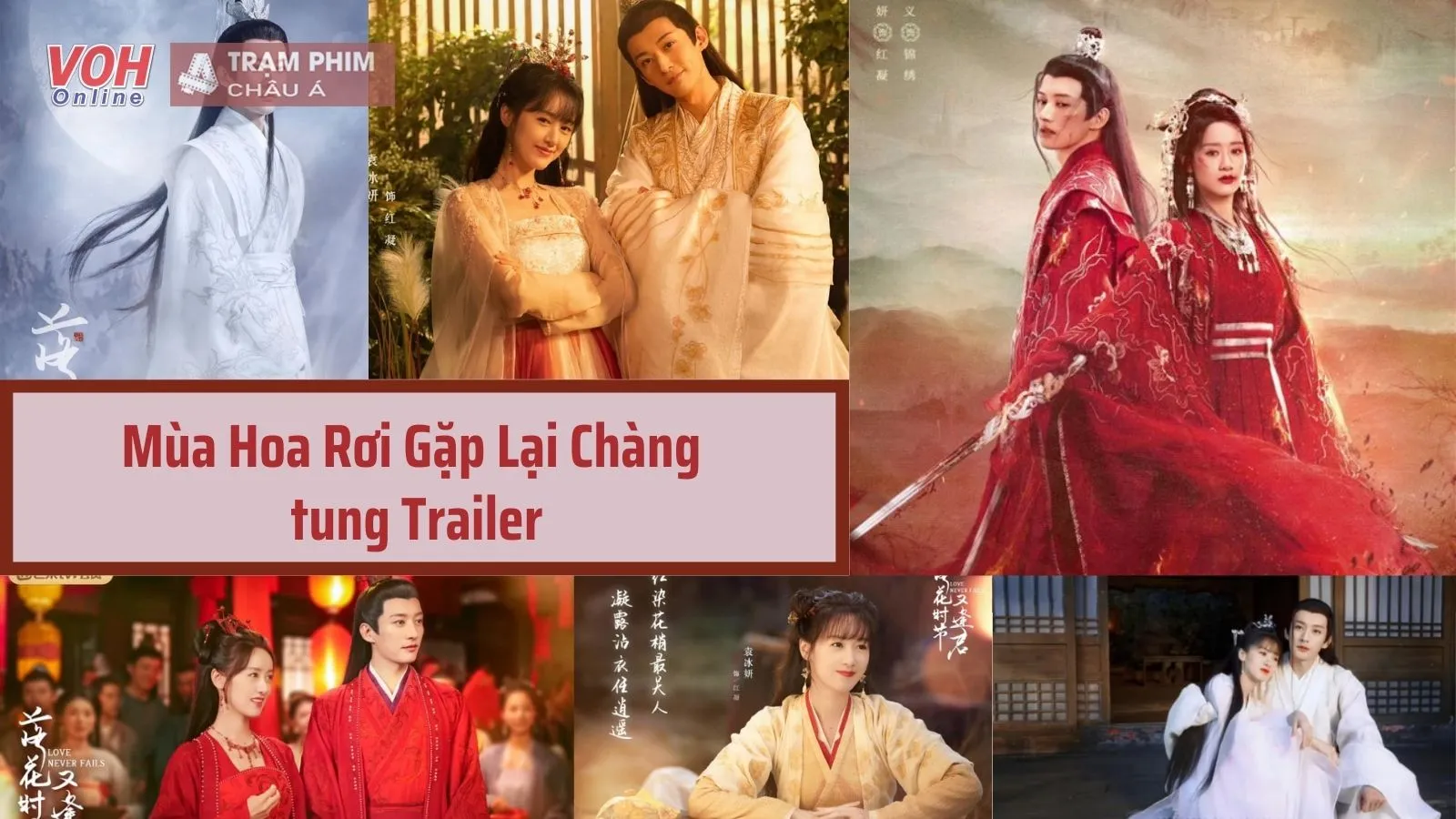 Mùa Hoa Rơi Gặp Lại Chàng tung trailer rồi, các mọt chuẩn bị đủ khăn giấy chưa?