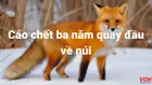 Giải thích ý nghĩa thành ngữ ‘Cáo chết ba năm quay đầu về núi’