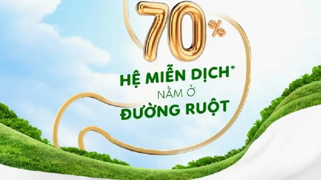 Chăm sóc hệ tiêu hóa giúp tạo nên thành trì hệ miễn dịch