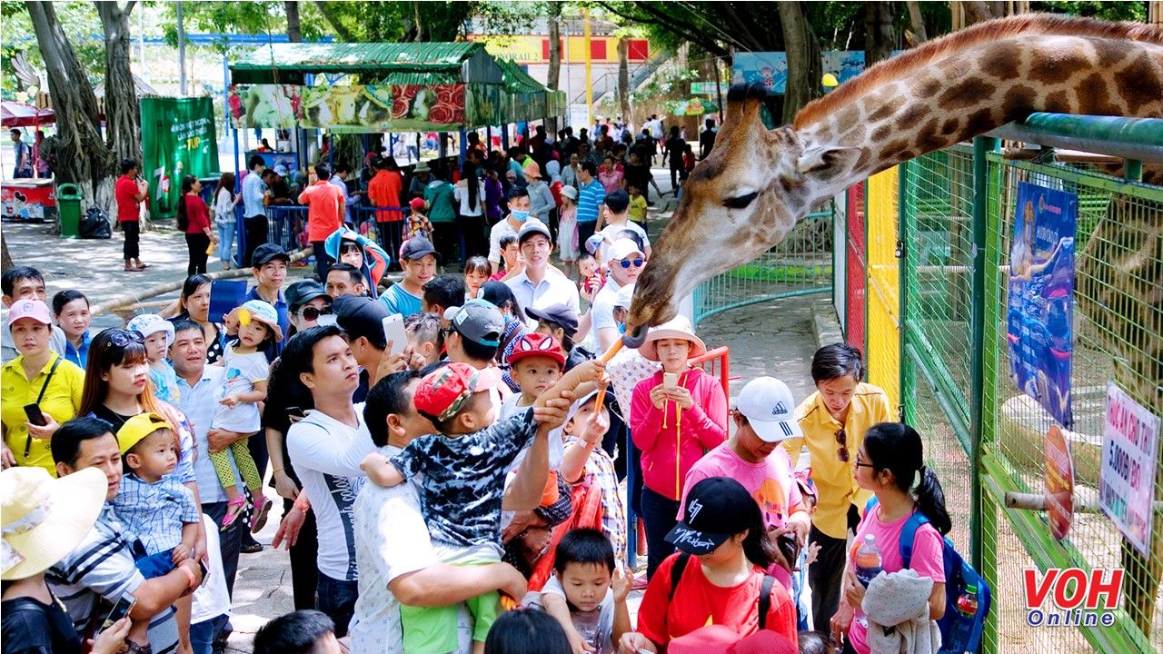 Miễn vé hoặc giảm 50% cho học sinh giỏi tham quan Đầm Sen