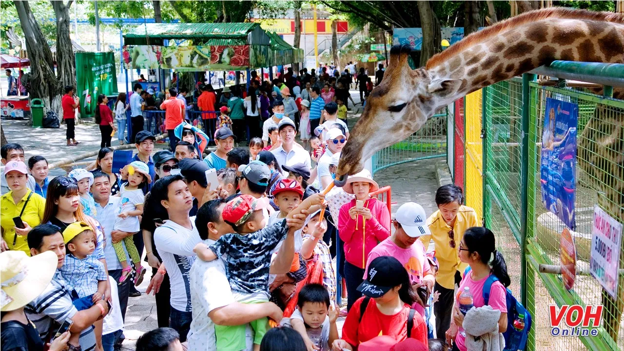 Miễn vé hoặc giảm 50% cho học sinh giỏi tham quan Đầm Sen