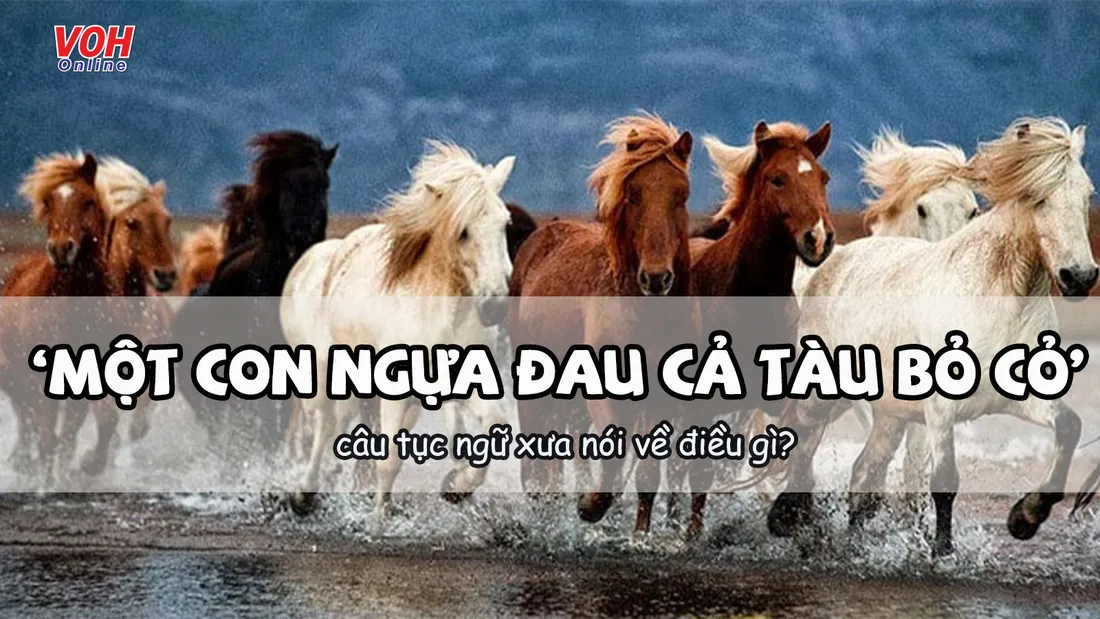 Giải thích ý nghĩa câu thành ngữ “Ngựa non háu đá”