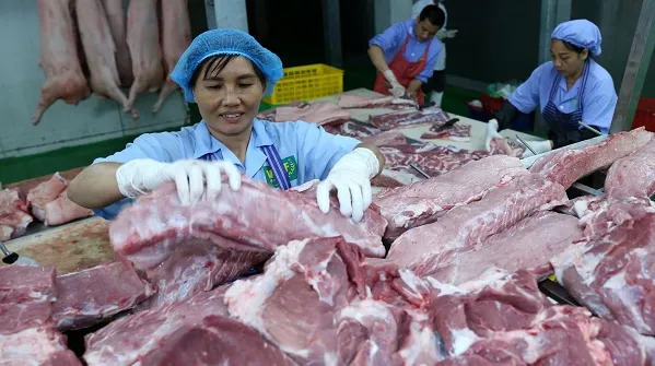 Giá heo hơi hôm nay 26/5/2022: Tăng nhiều nhất là 3.000 đồng/kg