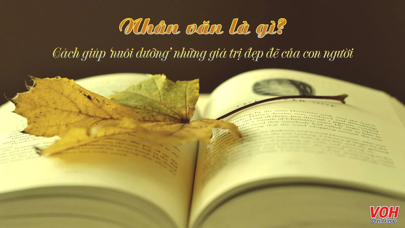 Nhân văn là gì? Chủ nghĩa nhân văn là gì? Cách nuôi dưỡng lối sống nhân văn