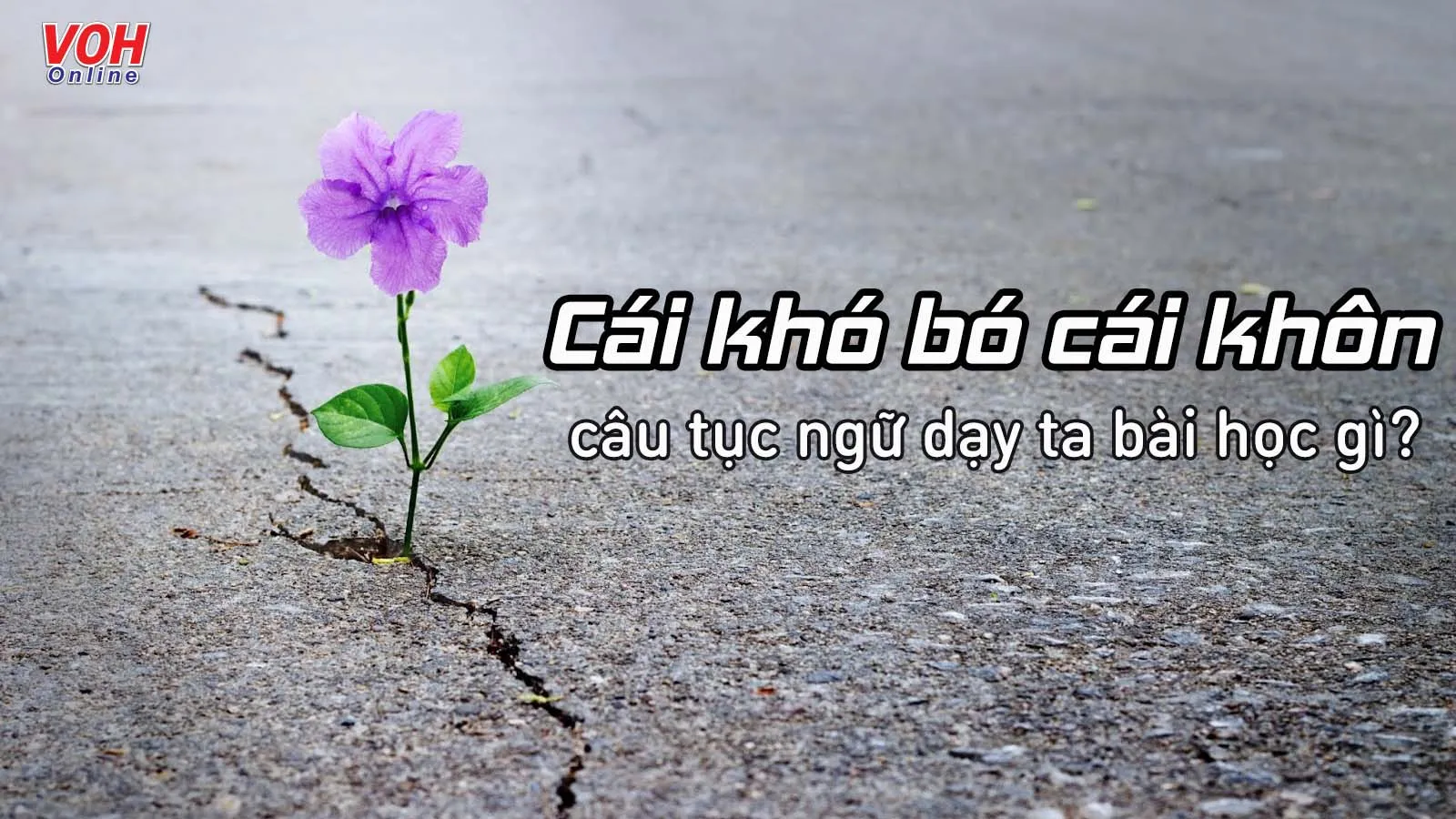 ‘Cái khó bó cái khôn’ - câu tục ngữ dạy ta bài học gì?