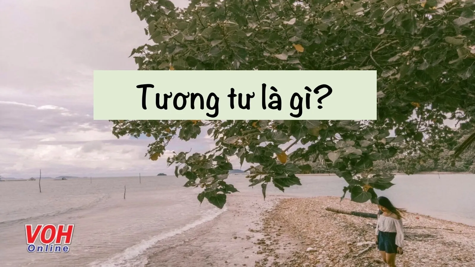 Tương tư là gì? Giải mã các dấu hiệu của bệnh tương tư