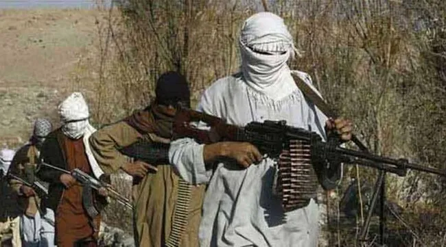 Chính phủ Pakistan và lực lượng Taliban tại nước này đồng ý ngừng bắn vô thời hạn