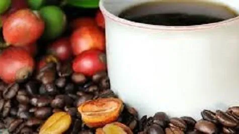 Giá cà phê hôm nay 4/6/2022: Giá arabica giảm sâu