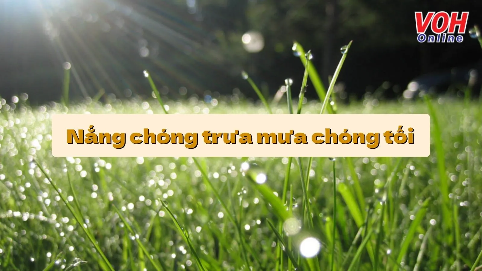 Giải thích ý nghĩa của câu tục ngữ ‘Nắng chóng trưa mưa chóng tối’