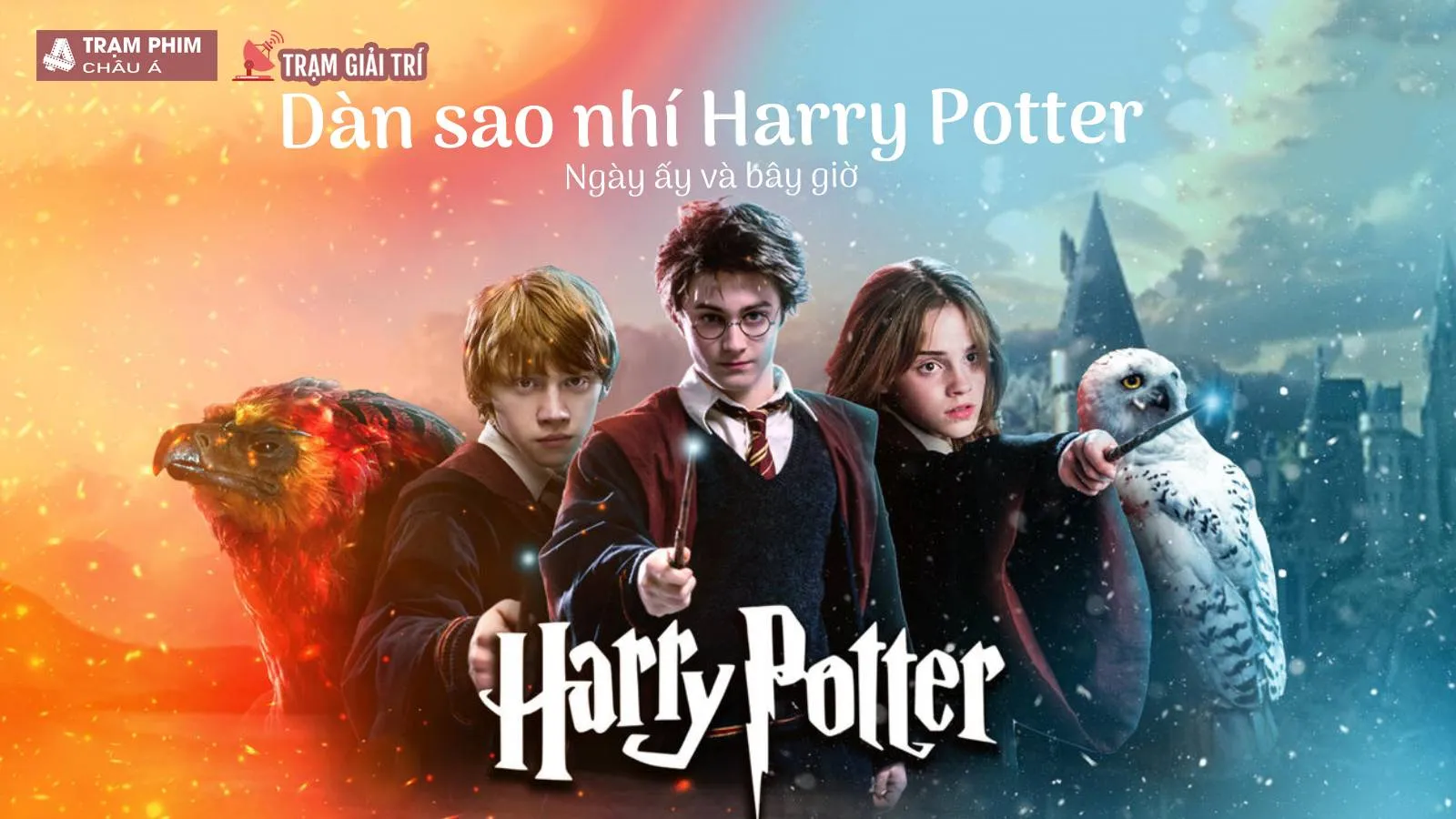 Dàn sao Harry Potter ngày ấy và bây giờ ra sao?