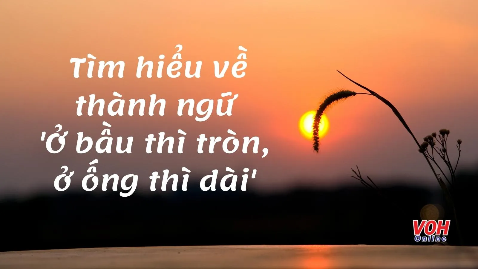 Giải thích ý nghĩa thành ngữ ‘Ở bầu thì tròn ở ống thì dài’ muốn nhắc nhở điều gì?