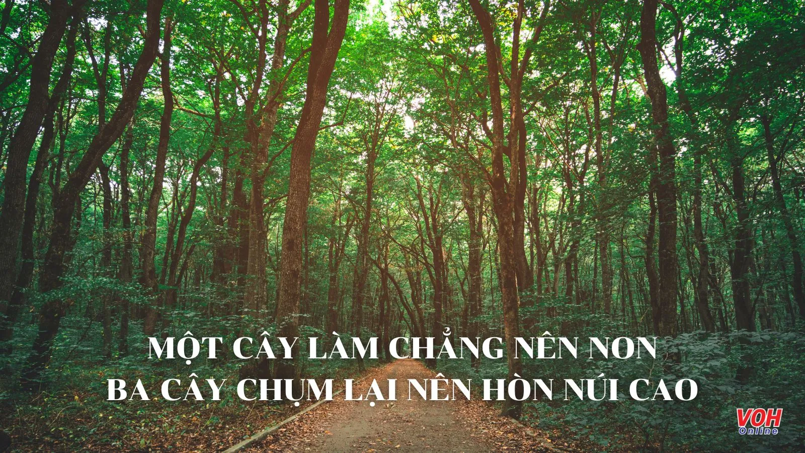 Giải thích ý nghĩa câu tục ngữ ‘Một cây làm chẳng nên non, ba cây chụm lại nên hòn núi cao’