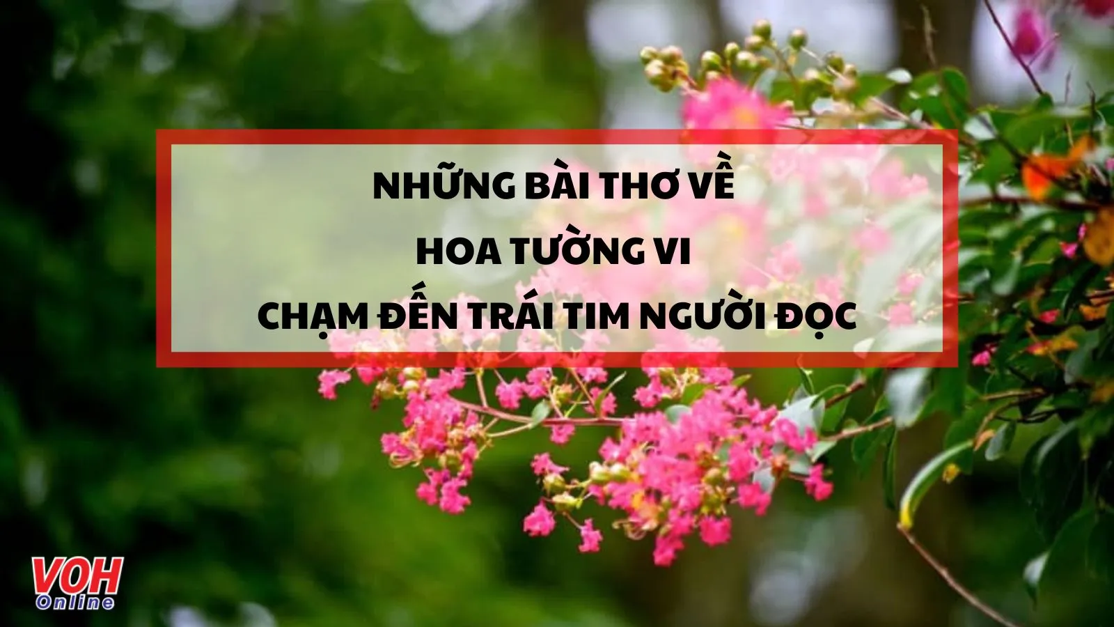 20 bài thơ về hoa tường vi ngắn gọn ý nghĩa nhất