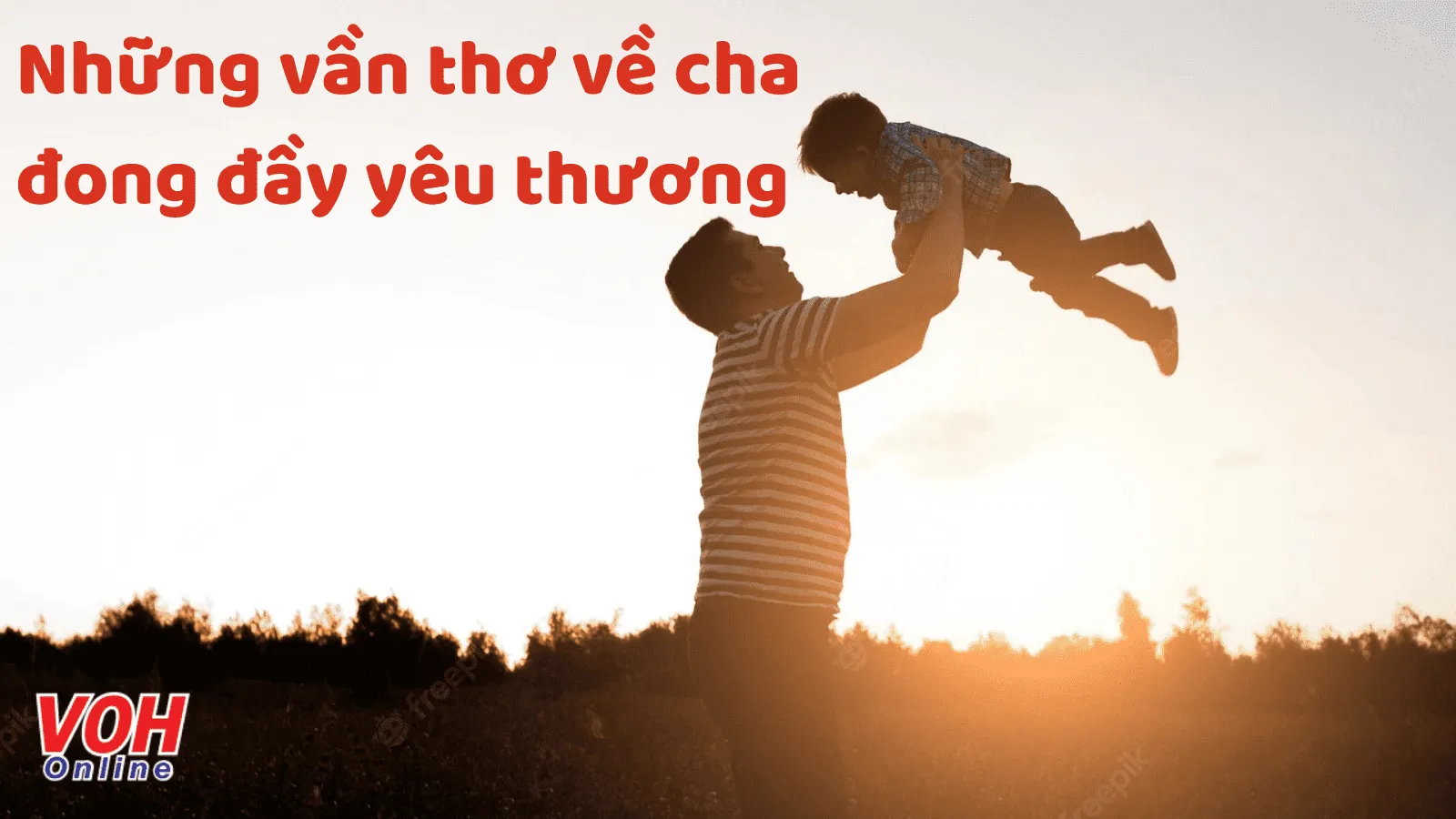 Tổng hợp 33 bài thơ về cha hay và cảm động nhất