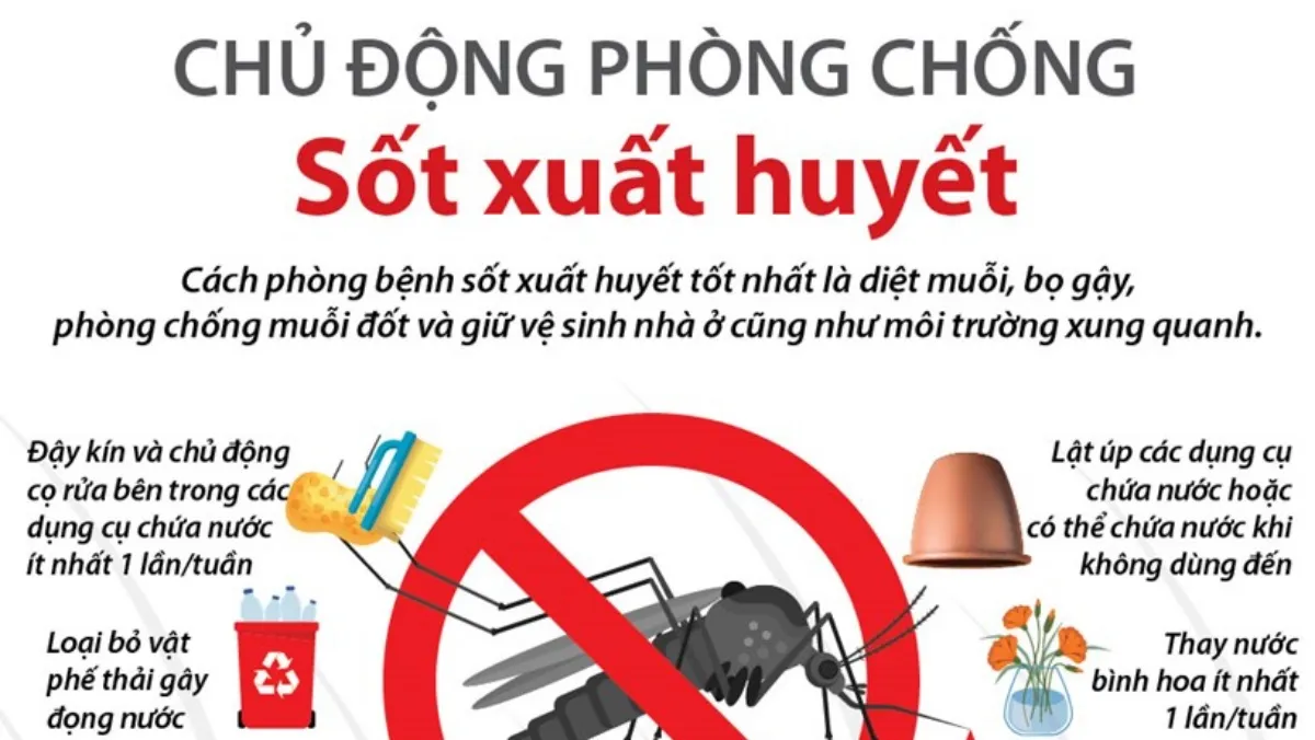 Tăng cường phòng, chống dịch sốt xuất huyết tại TPHCM