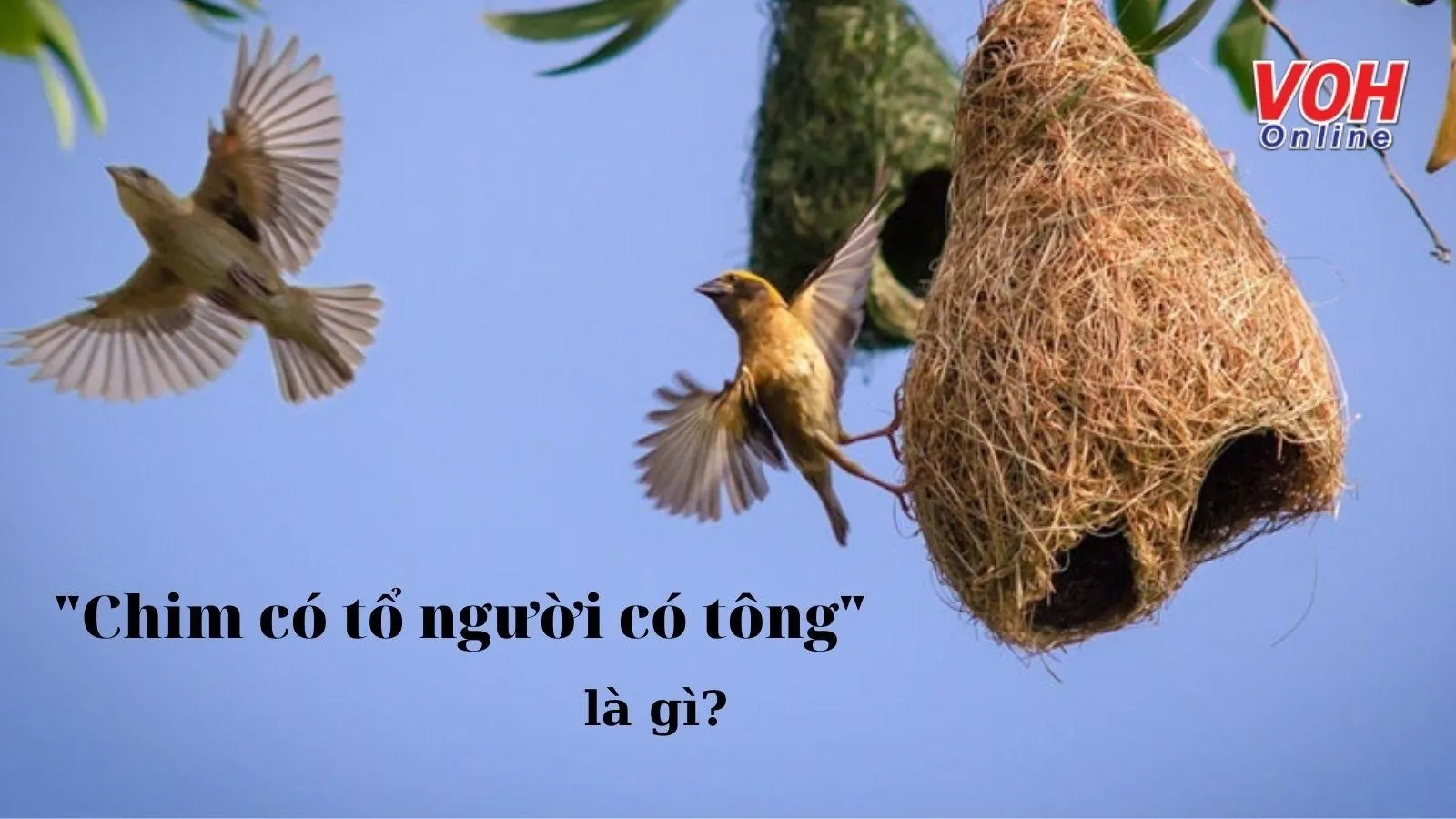 Giải thích ý nghĩa câu tục ngữ 